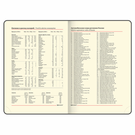 Ежедневник недатированный А5 (138х213 мм), BRAUBERG VISTA, под кожу, гибкий, 136 л., "Edvard Munch", 111984 - Ежедневники с покрытием "под кожу и ткань"