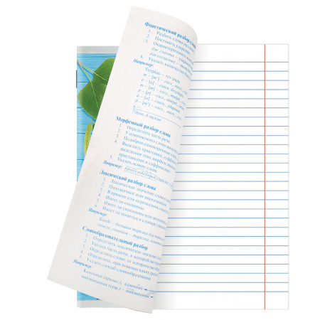 Тетради предметные, КОМПЛЕКТ 10 ПРЕДМЕТОВ, "COLLAGE", 48 листов, TWIN лак, BRAUBERG, 404030 - Тетради предметные