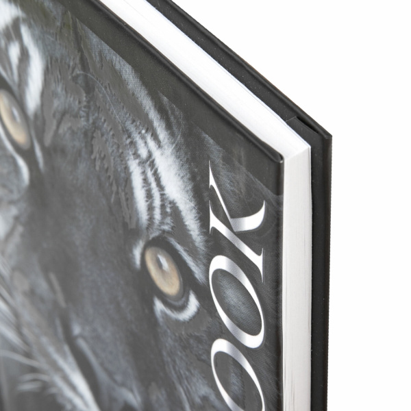 Блокнот МАЛЫЙ ФОРМАТ 110х147 мм А6, 80 л., ламинированная обложка, выборочный лак, клетка, BRAUBERG, "Тигровый", 123244 - Блокноты в книжном переплете