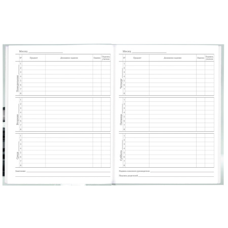 Дневник 5-11 класс 48 л., твердый, BRAUBERG, выборочный лак, с подсказом, "Super Car", 106634 - Дневники для старших классов