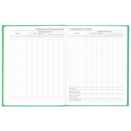 Дневник 5-11 класс 48 л., твердый, BRAUBERG, глянцевая ламинация, с подсказом, "Football", 106405 - Дневники для старших классов