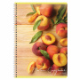 Тетрадь А4, 80 л., BRAUBERG, гребень, клетка, обложка картон, "Фрукты", 404051 - Тетради формата А4