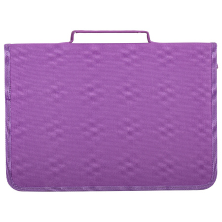 Папка для труда на молнии BRAUBERG А4 с ручкой, 1 отделение, картон, органайзер, "Charming kitten", 270991 - Папки для тетрадей и уроков труда