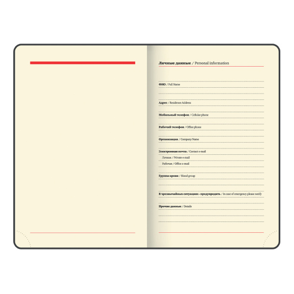 Ежедневник недатированный МАЛЫЙ ФОРМАТ А6 (100х150 мм) BRAUBERG "Iguana", кожзам, 160 л., черный, 125104 - Ежедневники с покрытием "под кожу и ткань"