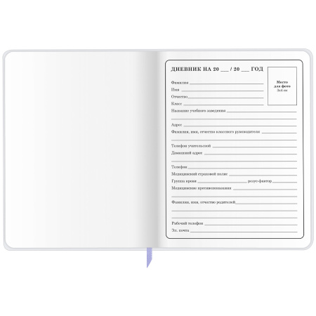 Дневник 1-4 класс 48 л., кожзам (гибкая), печать, фольга, ЮНЛАНДИЯ, "Ёжики", 106217 - Дневники для младших классов