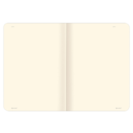 Тетради-скетчбуки 60 л. обложка SoftTouch, НАБОР 2 шт., бежевая бумага 70 г/м2, сшивка, B5 (179х250 мм), ROMANTIC, BRAUBERG, 403832 - Тетради более 60 листов