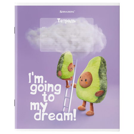 Тетрадь 18 л. BRAUBERG клетка, обложка картон, "ПЛЮШЕВЫЙ АВОКАДО", 106477 - Тетради 12-24 листов