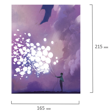 Тетрадь на кольцах А5 (165х215 мм), 160 листов, твердый картон, клетка, BRAUBERG, Мечты, 404092 - Тетради на кольцах и сменные блоки к ним