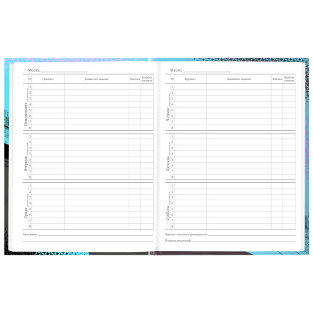 Дневник 5-11 класс 48 л., твердый, BRAUBERG, глянцевая ламинация, с подсказом, "Race Car", 106624 - Дневники для старших классов