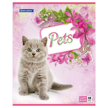 Тетрадь А5, 48 л., BRAUBERG, скоба, клетка, обложка картон, ЛЮБИМЧИКИ, 401816 - Тетради 40-48 листов