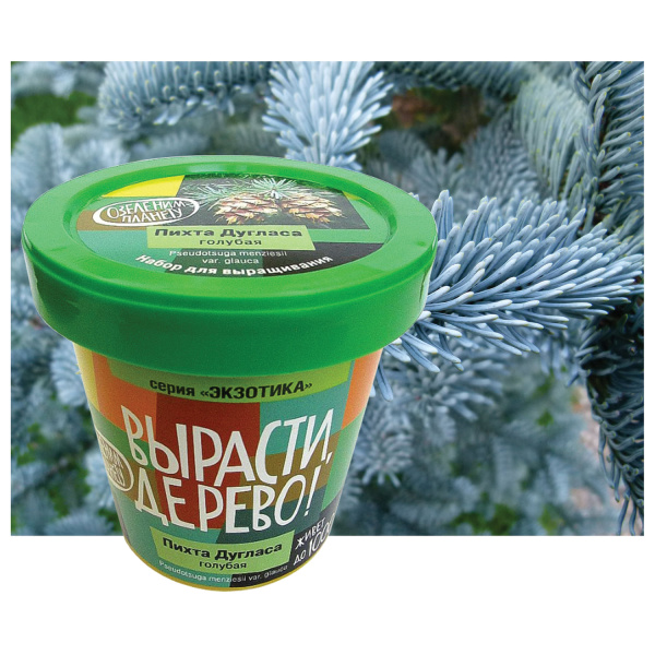 Набор для выращивания растений ВЫРАСТИ ДЕРЕВО! "Пихта Дугласа голубая" (банка, грунт, семена), zk-069 - Наборы для выращивания растений