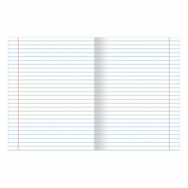 Тетради предметные, КОМПЛЕКТ 12 ПРЕДМЕТОВ, "DELIGHT", 48 л., обложка картон, BRAUBERG, 404606 - Тетради предметные