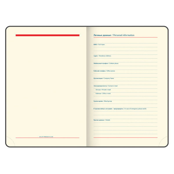 Ежедневник недатированный А5 (148х218 мм) GALANT "Magnetic", кожзам, магнитный клапан, 160 л., синий, 111879 - Ежедневники с покрытием "под кожу и ткань"