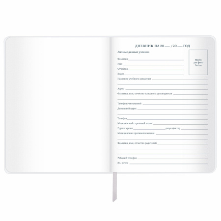 Дневник 1-11 класс 48 л., кожзам (гибкая), печать, фольга, BRAUBERG, "Insight", 106176 - Дневники универсальные