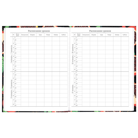 Дневник 5-11 класс 48 л., твердый, BRAUBERG, блестки, с подсказом, "Гранаты", 106639 - Дневники для старших классов