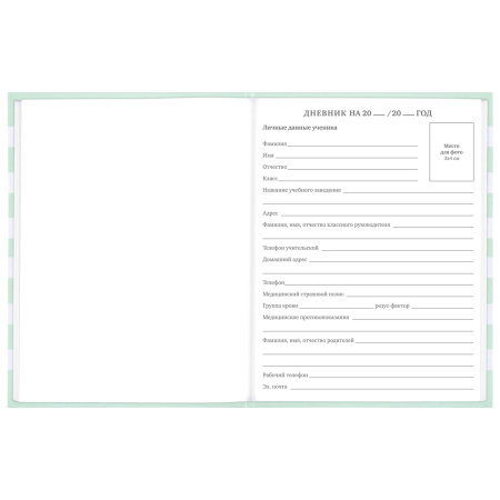 Дневник 1-11 класс 48 л., твердый, BRAUBERG, блестки, с подсказом, "Котик", 106606 - Дневники для младших классов