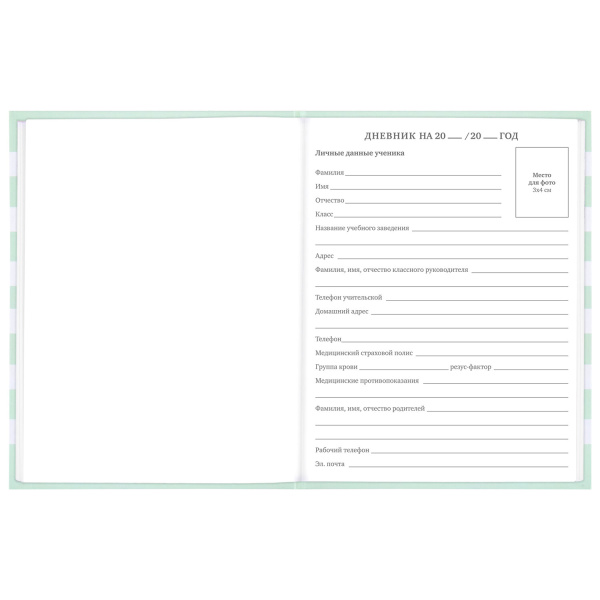 Дневник 1-11 класс 48 л., твердый, BRAUBERG, блестки, с подсказом, "Котик", 106606 - Дневники для младших классов