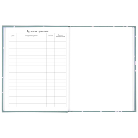 Дневник 5-11 класс 48 л., твердый, BRAUBERG, блестки, с подсказом, "Кактусы", 106420 - Дневники для старших классов