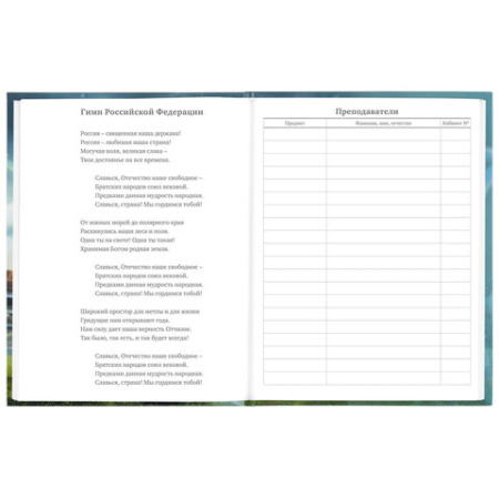 Дневник 5-11 класс 48 л., твердый, BRAUBERG, глянцевая ламинация, с подсказом, "Футбол", 106633 - Дневники для старших классов