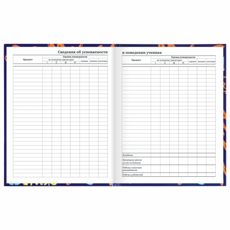 Дневник 1-11 класс 40 л., твердый, BRAUBERG, глянцевая ламинация, "Skateboarder", 106617 - Дневники универсальные