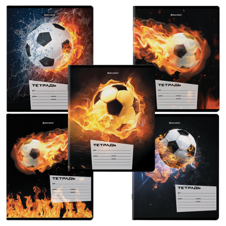 Тетради 12 л. КОМПЛЕКТ 10 шт. BRAUBERG, клетка, обложка картон, ФУТБОЛ, 106666 - Тетради 12-24 листов