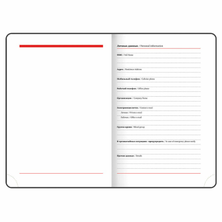 Ежедневник недатированный B6 (127х186 мм), BRAUBERG VISTA, под кожу, гибкий, 136 л., "Toucan tropics", 112114 - Ежедневники с покрытием "под кожу и ткань"