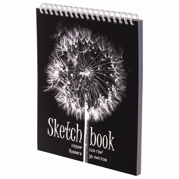 Скетчбук, серая бумага 120 г/м2, 170х195 мм, 30 л., гребень, подложка, цветная фольга, "Одуванчик", 98672 - Альбомы, скетчбуки и бумага для графики и эскизов