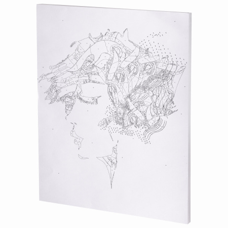 Картина по номерам 40х50 см, ОСТРОВ СОКРОВИЩ "Строгий профиль", на подрамнике, акрил, кисти, 663358 - Картины по номерам