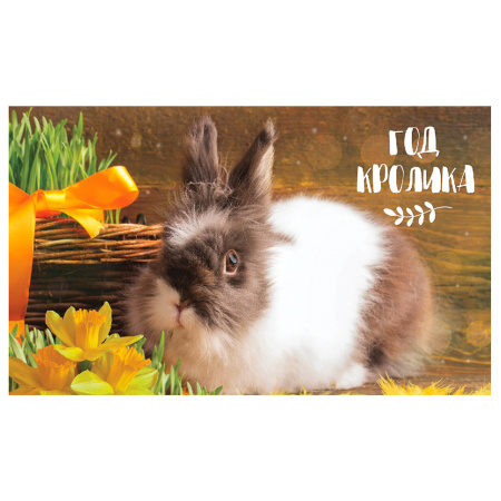 Календарь квартальный с бегунком 2023 г., 3 блока, 4 гребня, УльтраЛюкс, "Год Кролика", HATBER, 3Кв4гр2ц_27154 - Календари настенные