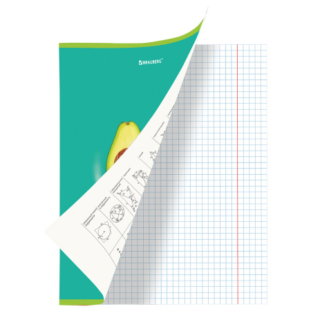 Тетрадь предметная "AVOCADO" 48 л., глянцевый лак, ГЕОМЕТРИЯ, клетка, BRAUBERG, 404278 - Тетради предметные