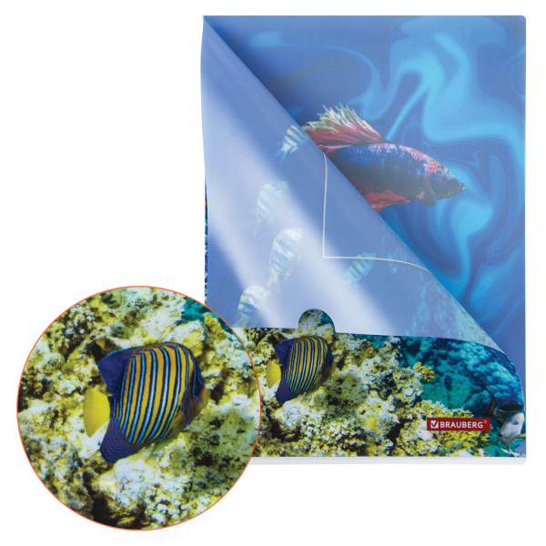 Папка-уголок BRAUBERG "SEA WORLD", А4, 150 мкм, цветная печать, 228042 - Папки-уголки пластиковые