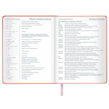 Дневник 1-11 класс 48 л., кожзам (твердая с поролоном), тиснение, аппликация, BRAUBERG, "Smart Cat", 106206 - Дневники универсальные