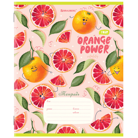 Тетрадь 18 л. BRAUBERG линия, обложка картон, "ФРУКТЫ", 106482 - Тетради 12-24 листов