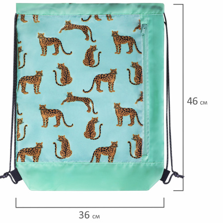 Мешок для обуви ЮНЛАНДИЯ, с ручками, боковой карман на молнии, 46х36 см, "Wild Cats", 271614 - Мешки для обуви