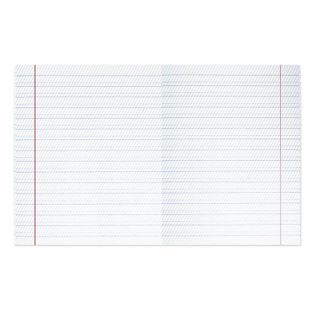 Тетради 12 л. КОМПЛЕКТ 20 шт. BRAUBERG "ВЕЛИКИЕ ИМЕНА ТОЛСТОЙ Л.Н.", частая косая, бумага 80 г/м2, 880021 - Тетради 12-24 листов