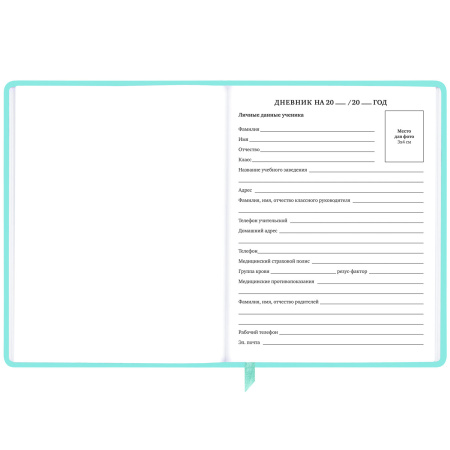 Дневник 1-11 класс 48 л., кожзам SoftTouch (твердая с поролоном), фольга, BRAUBERG, "Leopard", 106576 - Дневники универсальные