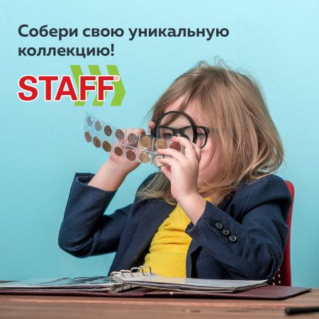 Листы-вкладыши для альбома "OPTIMA" на 2 боны (купюры), КОМПЛЕКТ 10 шт., 200х250 мм, ПВХ, STAFF, 238081 - Листы-вкладыши для монет и купюр