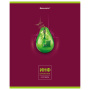 Тетрадь предметная "AVOCADO" 48 л., глянцевый лак, ИНФОРМАТИКА, клетка, BRAUBERG, 404279 - Тетради предметные