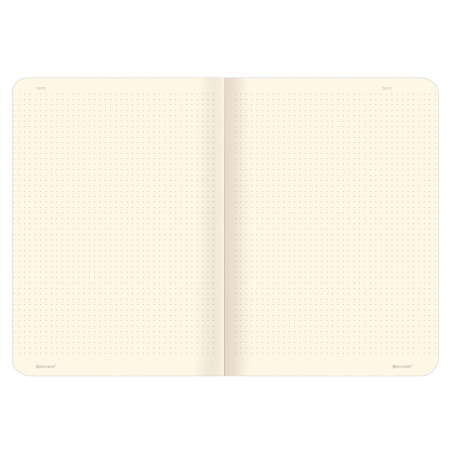 Тетради 60 л. в точку обложка SoftTouch, НАБОР 2 шт., бежевая бумага 70 г/м2, сшивка, B5 (179х250 мм), НОЧЬ, BRAUBERG, 403829 - Тетради более 60 листов