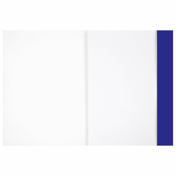 Бумага для рисования и графики в папке А4, 20 л., 200 г/м2, ВАТМАН ГОЗНАК, BRAUBERG ART CLASSIC, 114492 - Альбомы, скетчбуки и бумага для графики и эскизов