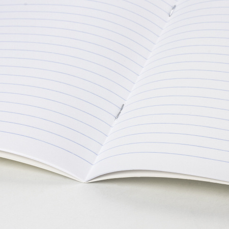 Тетрадь 24 л. BRAUBERG линия, обложка картон, "ЗАБАВНАЯ", 403586 - Тетради 12-24 листов