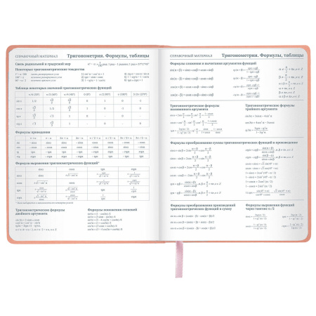 Дневник 1-11 класс 48 л., кожзам (твердая с поролоном), тиснение, аппликация, BRAUBERG, "Smart Cat", 106206 - Дневники универсальные