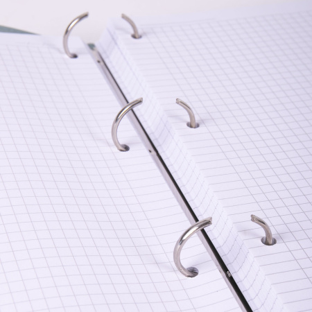 Тетрадь на кольцах БОЛЬШАЯ А4 (240х310 мм), 120 листов, под кожу, клетка, BRAUBERG "Joy", зелёный/светло-зелёный, 404508 - Тетради на кольцах и сменные блоки к ним