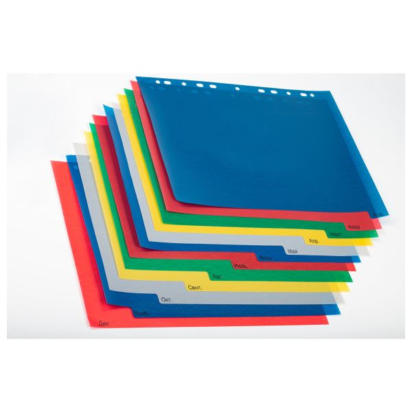 Разделитель пластиковый широкий BRAUBERG, А4+, 12 листов, Январь-Декабрь, оглавление, цветной, 225625 - Разделители