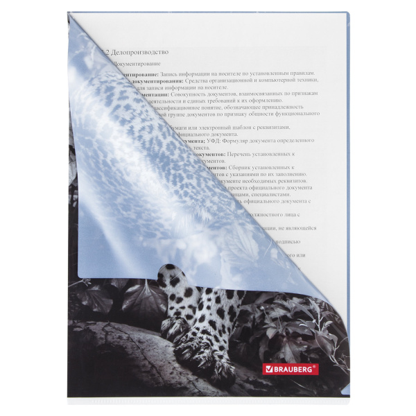 Папка-уголок BRAUBERG "LEOPARD", А4, 150 мкм, цветная печать, 228040 - Папки-уголки пластиковые