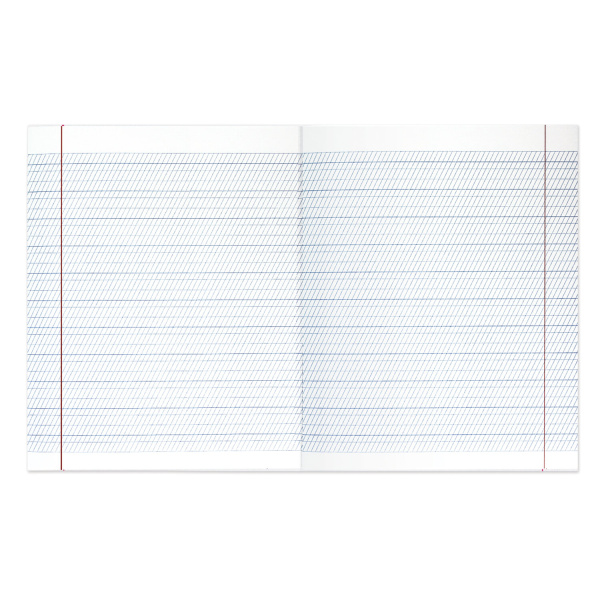 Тетрадь ВЕЛИКИЕ ИМЕНА. Пушкин А.С., 12л. частая косая С ДОПОЛНИТЕЛЬНОЙ ГОРИЗОНТАЛЬНОЙ, плотная бумага 80г/м, обложка офсет, BRAUBERG, 105718 - Тетради 12-24 листов