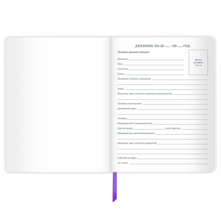 Дневник 1-11 класс 48 л., кожзам (гибкая), термотиснение, фольга, BRAUBERG, "Panda", 106171 - Дневники универсальные