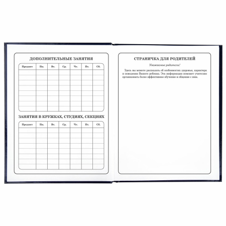 Дневник 1-4 класс 48 л., твердый, ЮНЛАНДИЯ, глянцевая ламинация, с подсказом, "Котики", 106352 - Дневники для младших классов