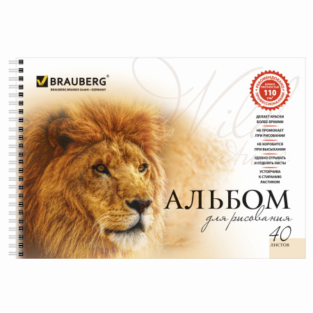 Альбомы для рисования А4 40 л., КОМПЛЕКТ 2 шт., гребень, обложка картон, BRAUBERG, 205х290 мм, "Хищники" (2 вида), 880028 - Альбомы и папки для рисования