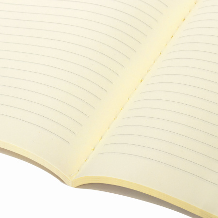 Тетрадь 60 л. в линию обложка кожзам SoftTouch, сшивка, B5 (179х250мм), БЕЛЫЙ, BRAUBERG RAINBOW, 403887 - Тетради более 60 листов